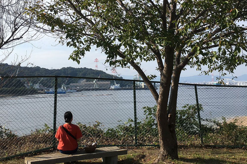 六字岩海岸